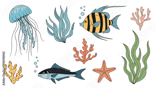 Collection of hand drawn marine life illustrations including fish, jellyfish, starfish, coral, and seaweed on white background.