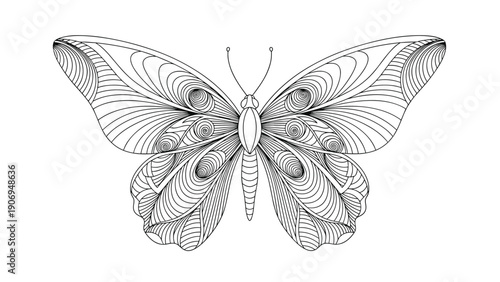 Detailed black and white butterfly line art with intricate geometric and spiral patterns suitable for coloring pages.