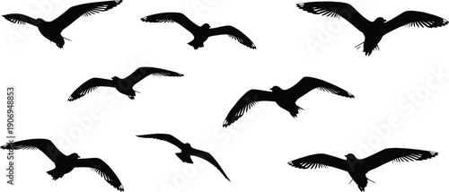 Black silhouette of a flock of seagulls flying in the sky isolated on white background for coastal summer vector design