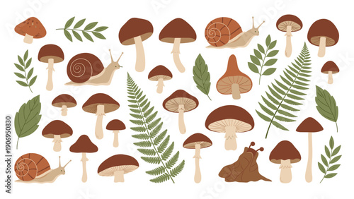 Large collection of forest-themed illustrations including various mushrooms, snails, green leaves, and fern fronds.