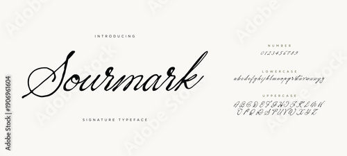 Alex Smith, Hand drawn vector alphabet. Modern monoline signature script font. Elegant Signature Font. Best Alphabet Beautiful Calligraphy Signature Font. vector illustration 
