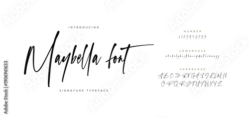Signature Font Uppercase Lowercase And Number. Script Font Calligraphy Logotype elegant Font Type Font lettering handwritten. vector illustration 
