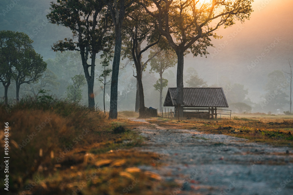 Naklejka premium Misty forest sunrise cabin countryside nature trees sunlight morning rural landscape wooden hut peaceful atmosphere foggy environment tranquil scenery with warm golden light through tall trees