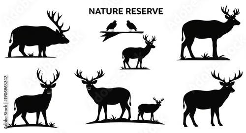 Deer Silhouette Collection Nature Reserve Wildlife Animals.