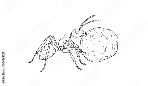 Minimal ant outline vector illustration black lineart insect icon isolated on transparent background