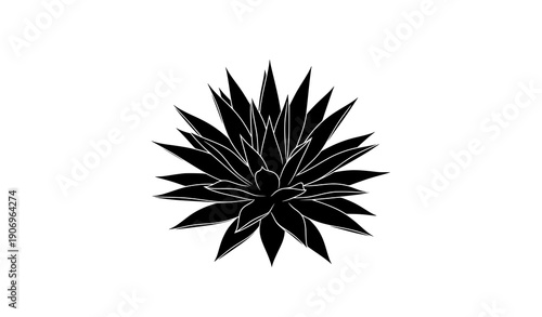 Agave plant silhouette vector icon minimal desert botanical illustration isolated on transparent background
