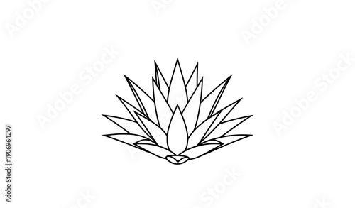 Agave plant outline vector icon minimal lineart desert symbol isolated on transparent background