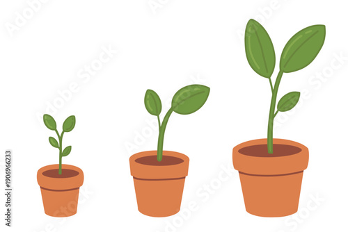 Vector illustration of young seedlings growing in brown pots. Clean and minimal spring gardening elements ideal for banners, invitations, cards and promotional graphic design.