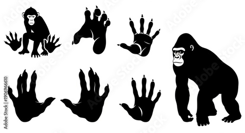 Gorilla and Monkey Silhouettes with Hand and Paw Prints.