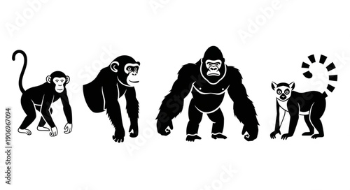 Four Primate Silhouettes Showing Different Species.