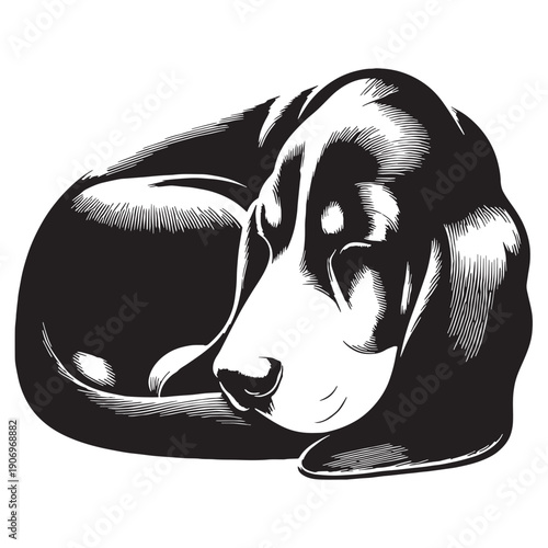 Adorable Basset Hound Dog Vector Silhouette Illustration Featuring Long Ears Short Legs Gentle Expression Perfect For Logos Stickers T-Shirts Posters Prints Social Media Branding Pet.