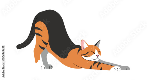 Illustration of a cat in a downward-facing dog yoga pose on a clean white background with a playful mood.