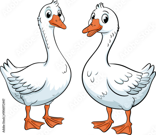 Two white domestic geese with orange beaks and feet standing together for farm poultry agriculture bird life and nature, flat vector illustration