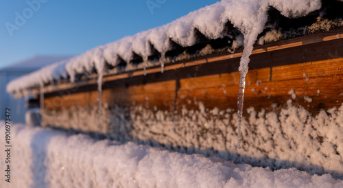 Carrelet enneigé avec glace, Yves, Charente Maritime, France