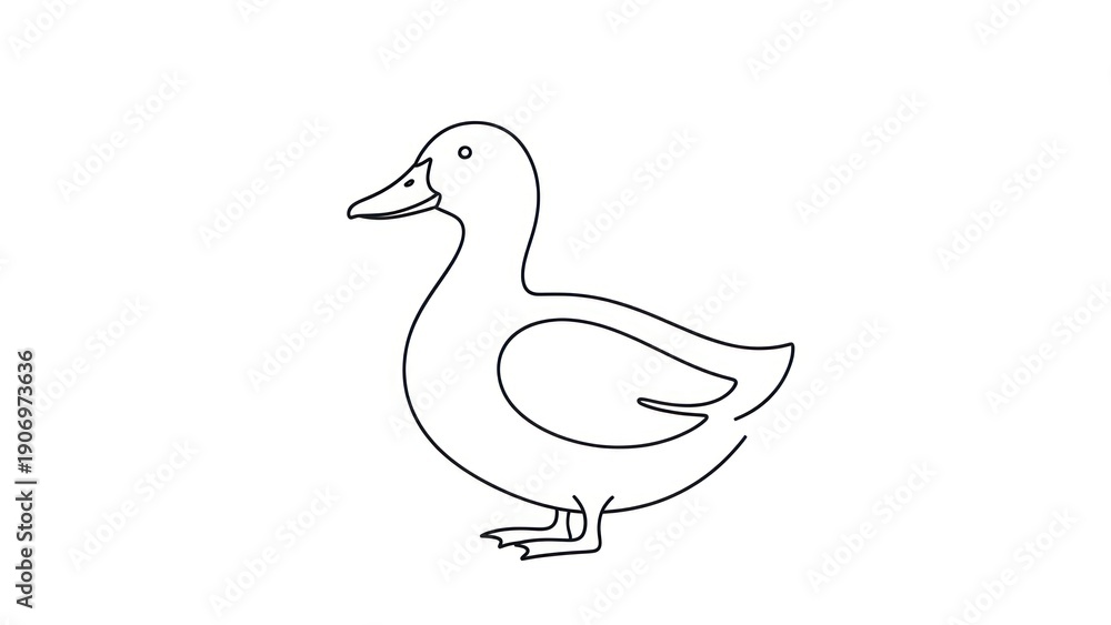 Fototapeta premium Minimalist line art of a duck on white background for design concepts