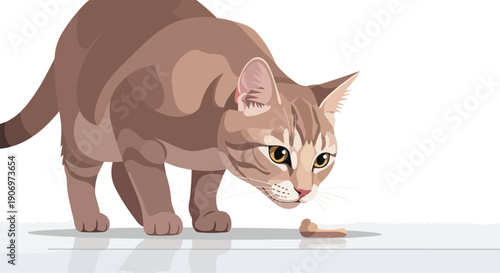 A brown tabby cat sniffing a piece of food on a white surface against a plain white background.