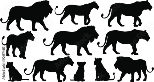 Lion silhouette collection showing male female and cub poses, powerful big cat wildlife vector illustration set, african savanna animal designs isolated on white background