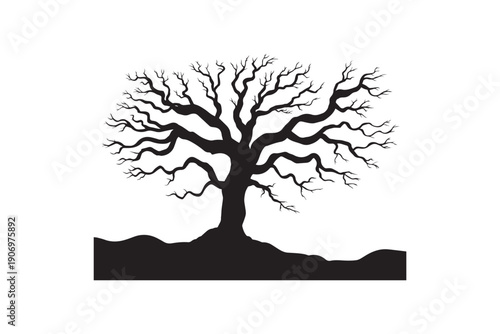 Bare deciduous tree silhouette against white background, twisted branches reaching outwards creating intricate natural pattern, symbolic representation of autumn or winter seasons, symbol of life