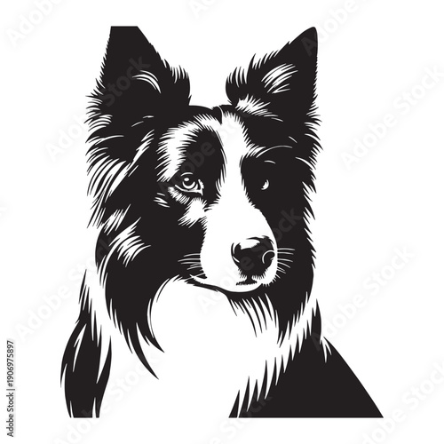 PBorder Collie – The Smartest Dog
Intelligent Border Collie Dog,Energetic Border Collie in Action,Cute Border Collie Puppy,Working Border Collie Herding Dog,Playful Border Collie Pet.