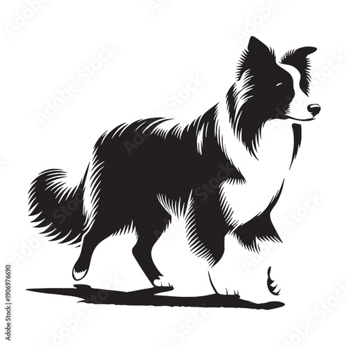 PBorder Collie – The Smartest Dog
Intelligent Border Collie Dog,Energetic Border Collie in Action,Cute Border Collie Puppy,Working Border Collie Herding Dog,Playful Border Collie Pet.