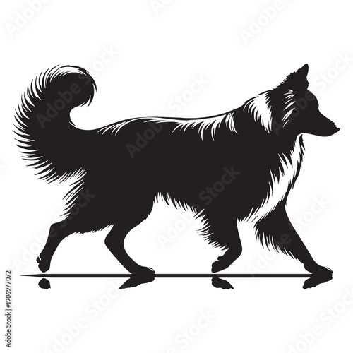 PBorder Collie – The Smartest Dog
Intelligent Border Collie Dog,Energetic Border Collie in Action,Cute Border Collie Puppy,Working Border Collie Herding Dog,Playful Border Collie Pet.