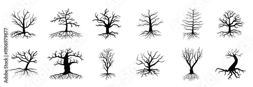 set of bare tree silhouettes