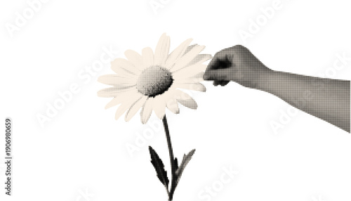 Daisy with a retro halftone effect. Vector illustration isolated on transparent background.