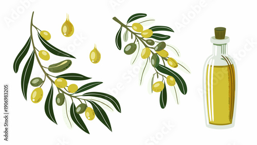 Olive branches and bottle of olive oil in elegant still life arrangement