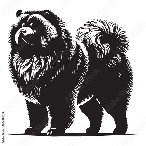 Adorable Chow Chow Dog Vector Silhouette Illustration Featuring Fluffy Coat Lion Mane Cute Face Perfect For Logos Stickers.