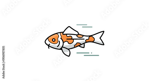 Koi fish illustration on black background for design projects