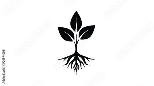 Black silhouette of a plant with roots and leaves growing  symbol of nature and growth