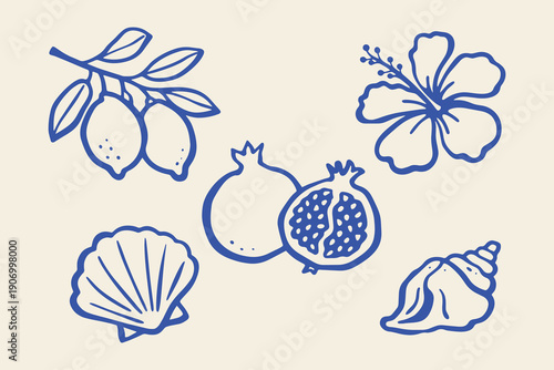 Lemon pomegranate hibiscus seashell doodle line art vector illustration