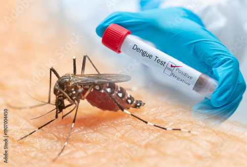 Composite concept of Aedes mosquito and positive Dengue blood test tube. Medical visual for tropical virus outbreak, vector-borne disease diagnosis, and healthcare risk