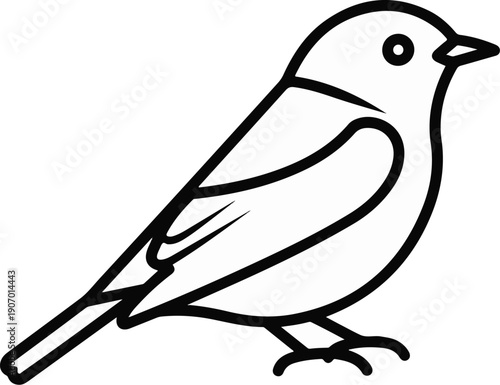 Simple line drawing of a bird with a plump body and slender tail
