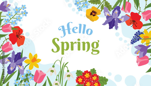 Spring greeting card with a colorful spring flowers and leaves, organic shapes and halftone dots framing the text Hello Spring. Narcissus, Poppy, Crocus, Snowdrop, Pansy, Iris, Tulip, Primrose.