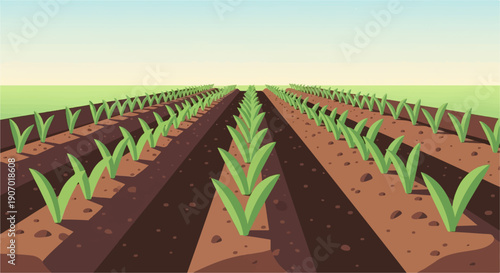 Rows of young green plants grow in rich brown soil under a light sky
