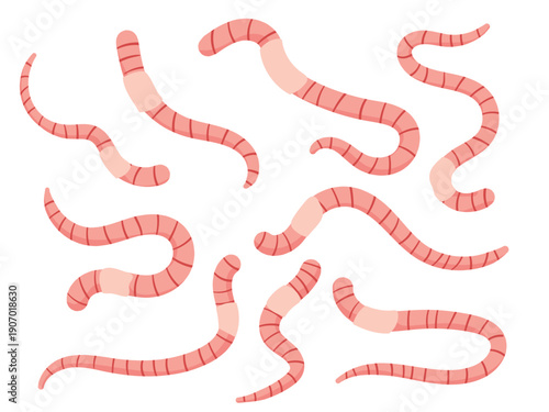Groundworm crawling set, earthworm, pink worm