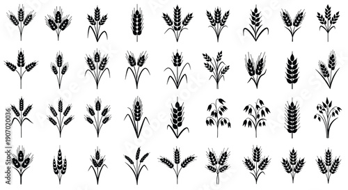 Large collection of diverse black wheat, barley, and grain ear icons in various orientations and arrangements for agricultural logos.