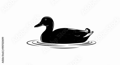 Silhouette of a black duck swimming on rippling water