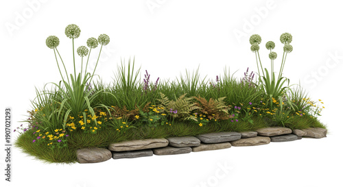 Lush Garden Border with Alliums and Ferns for Landscape Design, Web Banners, and Nature Content