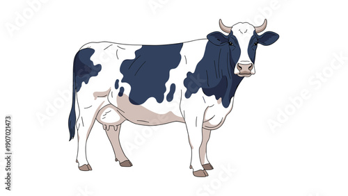 Large black and white dairy cow stands calmly in a side profile view against a clean white background for easy use.