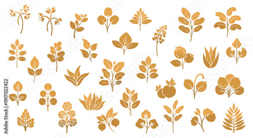 Large collection of various botanical elements including leaves, herbs, and berries rendered in a golden silhouette style on white.
