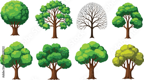 Set of colorful cartoon tree illustrations, various green deciduous trees, flat vector nature elements isolated on white background, design collection