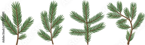Green pine branch illustration set, evergreen conifer twigs isolated on white background for winter nature decoration design template banner clipart