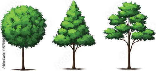 Set of green deciduous tree illustrations, various leafy trees, flat vector nature elements isolated on white background, botanical design collection