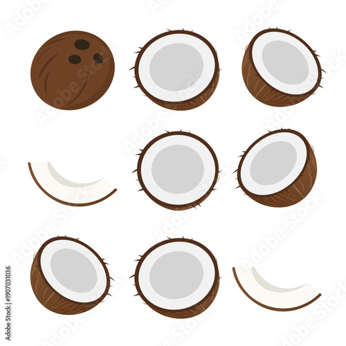 Coconut Fruit Set with Halves and Pieces – Fresh Coconut Flat Vector Illustration
