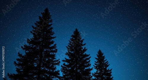 Graphic illustration of three evergreen trees silhouetted against a deep blue, speckled starry night sky, artistic, artwork, darkness