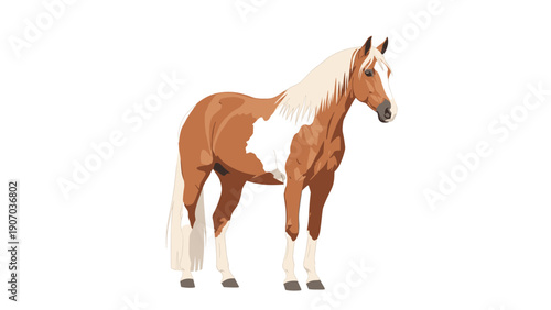 Realistic illustration of a brown and white pinto horse standing in profile against a clean white background for animal lovers.