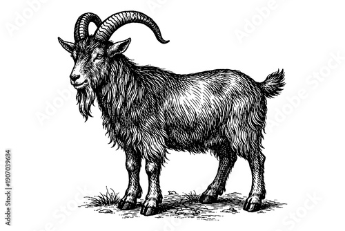 Detailed hand-drawn goat with intricate textures and realistic features