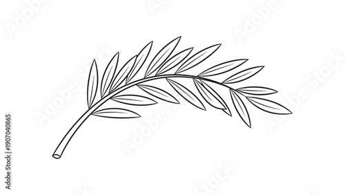 Graceful black and white sketch of a palm frond branch showcases elegant curves and detailed leaves for a sophisticated tropical botanical illustration.